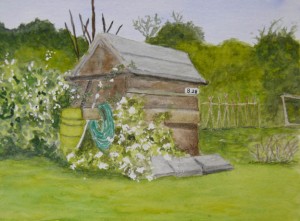 shed_watercolour