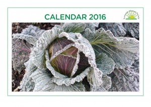 Sunnyside-Calendar-2016-cov