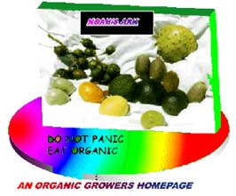 Don't Panic Eat Organic