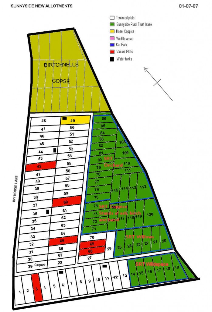 plan_new