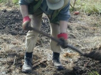 2002JubileeCoppice01