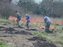 2002JubileeCoppice02