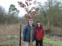 2003KensTree05