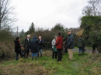 2003KensTree07