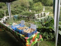 OpenDay2011_05