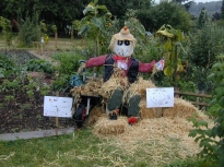 2005OpenDay22