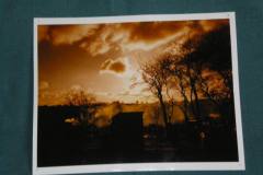 Photographic Competition 2010