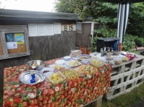 PotTaste_08