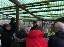 Pruning talk 10-02-18_01