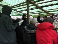Pruning talk 10-02-18_02