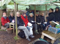 Pruning talk 10-02-18_03