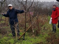 Pruning talk 10-02-18_06