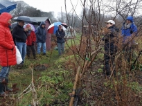Pruning talk 10-02-18_07