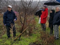 Pruning talk 10-02-18_08