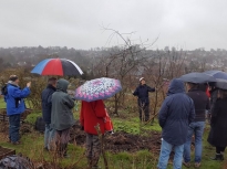 Pruning talk 10-02-18_09