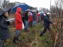 Pruning talk 10-02-18_10
