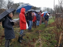 Pruning talk 10-02-18_11