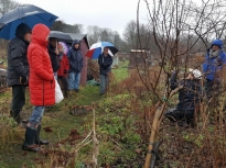 Pruning talk 10-02-18_12