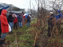 Pruning talk 10-02-18_13