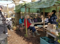 Pruning talk 16-02-18_01