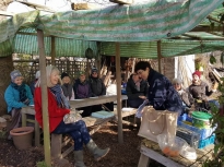 Pruning talk 16-02-18_02
