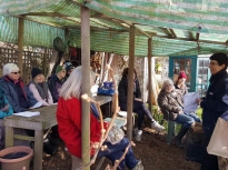 Pruning talk 16-02-18_03