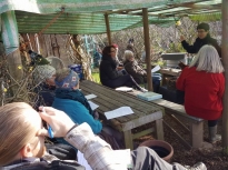 Pruning talk 16-02-18_04