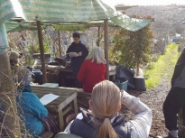 Pruning talk 16-02-18_05