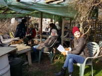Pruning talk 16-02-18_06