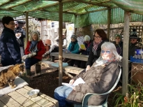 Pruning talk 16-02-18_07