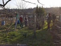 Pruning talk 16-02-18_09