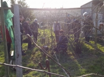 Pruning talk 16-02-18_10
