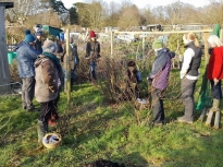 Pruning talk 16-02-18_11