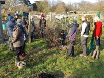 Pruning talk 16-02-18_12