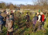 Pruning talk 16-02-18_13