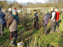 Pruning talk 16-02-18_14