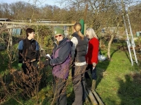 Pruning talk 16-02-18_15