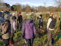 Pruning talk 16-02-18_17