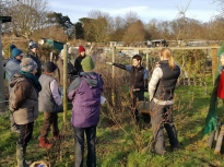 Pruning talk 16-02-18_18