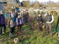 Pruning talk 16-02-18_19
