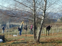 2003SRTCoppice10