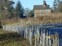 2003SRTCoppice11