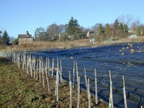 2003SRTCoppice12