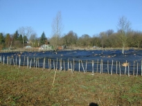 2003SRTCoppice14