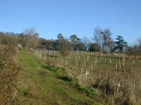 2003SRTCoppice21