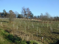2003SRTCoppice22
