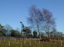 2003SRTCoppice23
