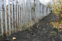 SSN Rabbit Fencing 2009