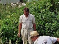 2006SummerHouse006