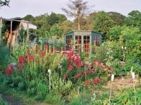 2006SummerHouse059